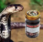 Royal Cobra Black Balm - baume venin cobra douleurs musculaires articulaires 50 gr – Image 2