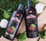 Kokliang Lingzhi Shampoo – Image 4