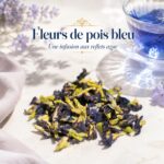 Thé medicinal Anchan a base de plante de clitoria – Image 2