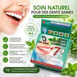 YIM SIAM Herbal Toothpaste – Dentifrice thaïlandais blanchissant aux herbes 25 g – Image 2