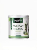 Herbe de blé Yumiko Wheat Grass