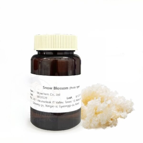 Snow blossom (Tremella Fuciformis Polysaccharide) 50 gr – Image 1
