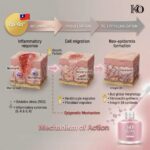 KO Rich PDRN Phyto-Collagen Booster Shot – Sérum visage hydratant et revitalisant 25 ml – Image 3