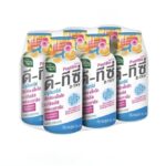 Complément alimentaire pour le transit intestinal – HandyHerb D-TXY PostBio – Image 2
